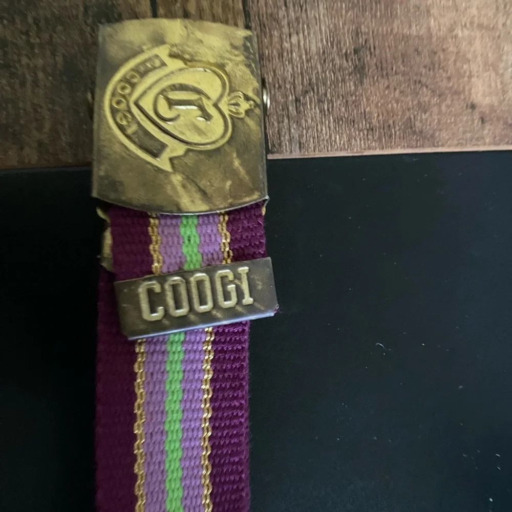 Vintage COOGI L Retro Purple Gold Metallic Cotton Adjustable Striped Belt 31”L